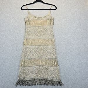 Elegant Beaded Fringe Dress